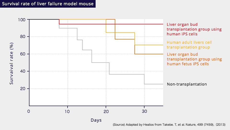 Survival rate of liver failure model mouse